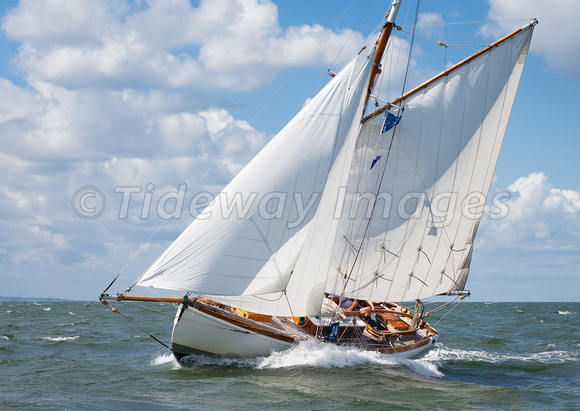 Raven Sailing in the Swale Match